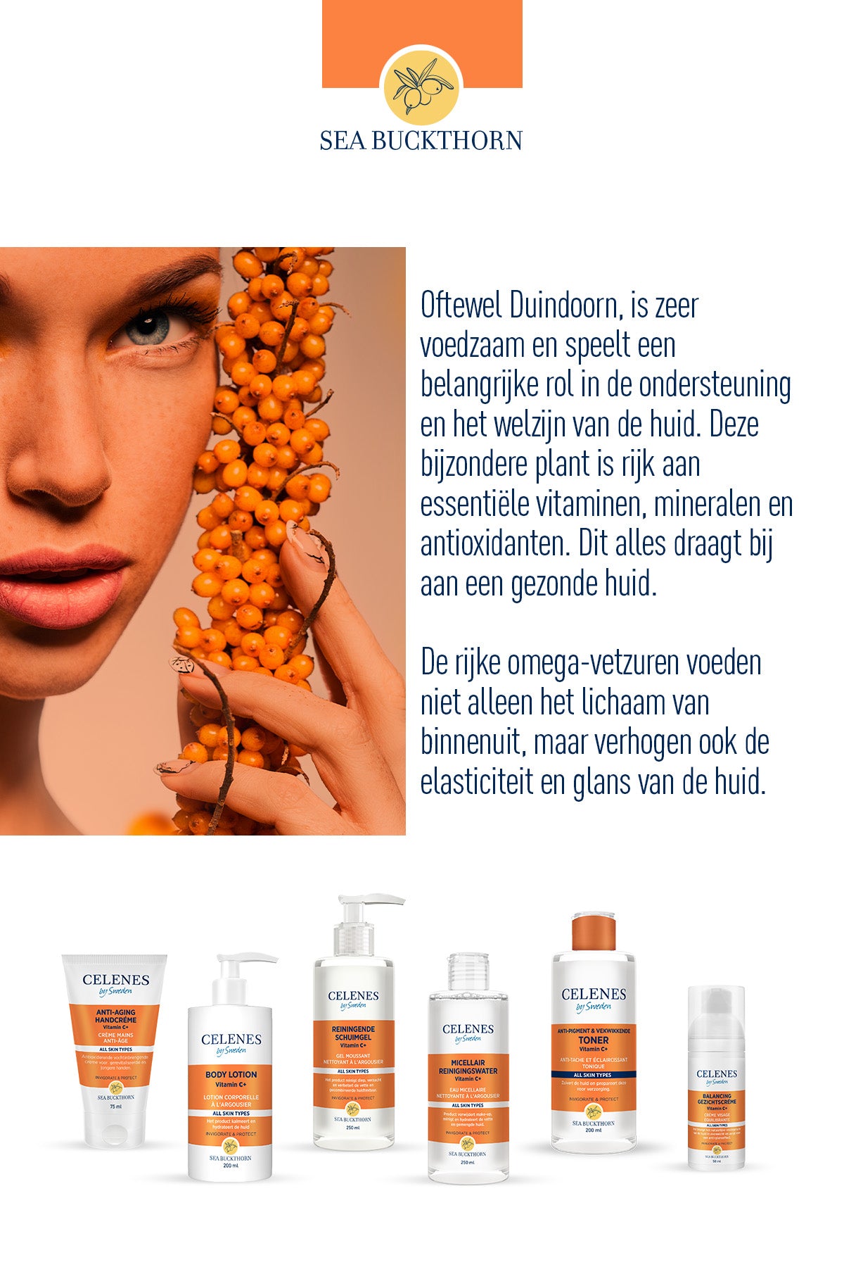 Sea Buckthorn Anti Pigment & Verkwikkende Toner